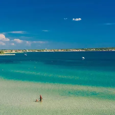 Miri Olive Privlaka (Zadar)