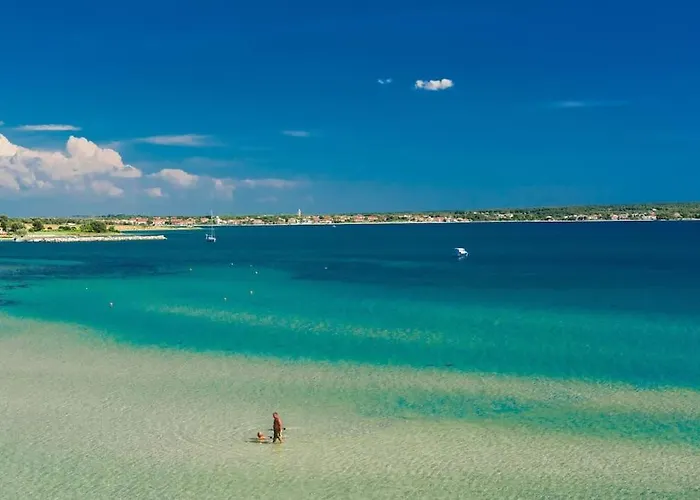 Miri Olive Привлака